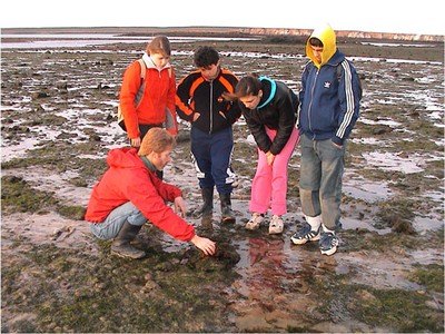 Investigacion