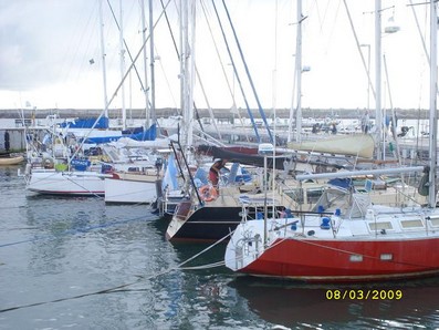 amarra