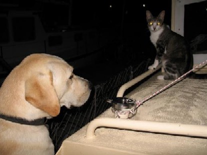 Max y Sofi